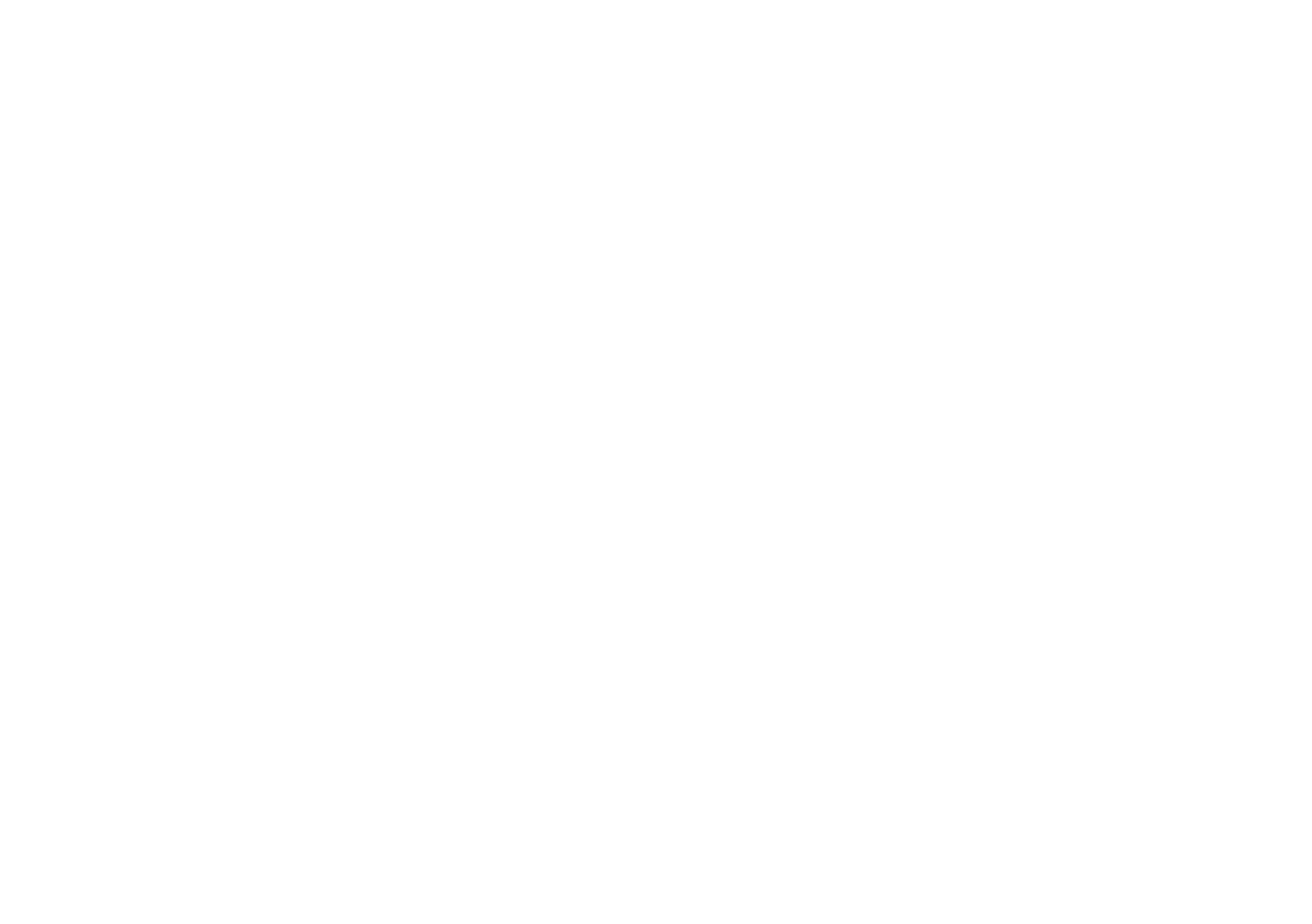 MJHJr Investigations